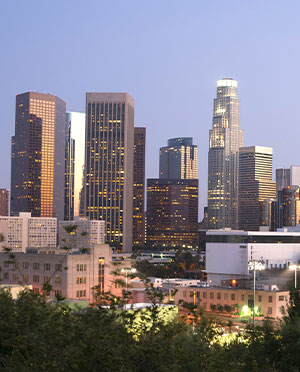 Flight from Los Angeles