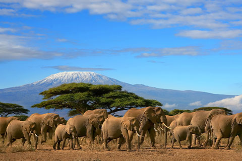 Business Class Flights to Dar es Salaam Tanzania